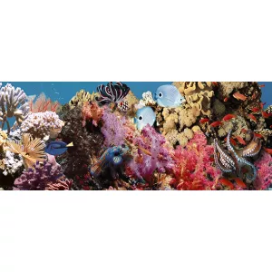 Декор Ceradim Ocean Reef 1 20x50