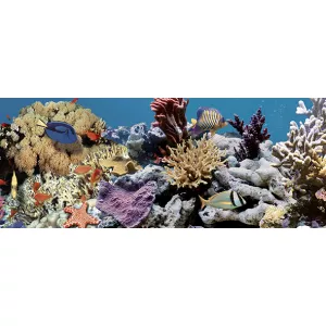 Декор Ceradim Ocean Reef 2 20x50
